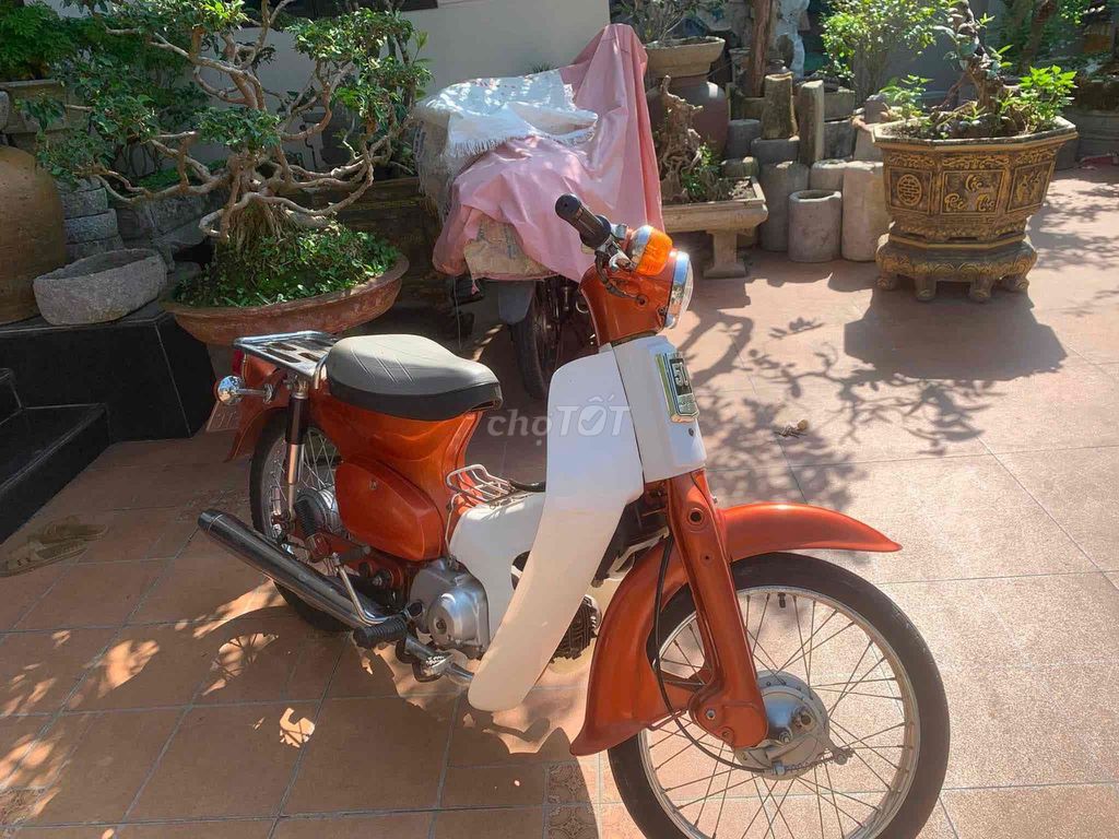 Honda Cub 1995 - ảnh 2