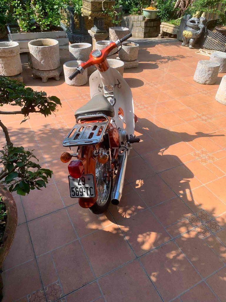 Honda Cub 1995 - ảnh 4
