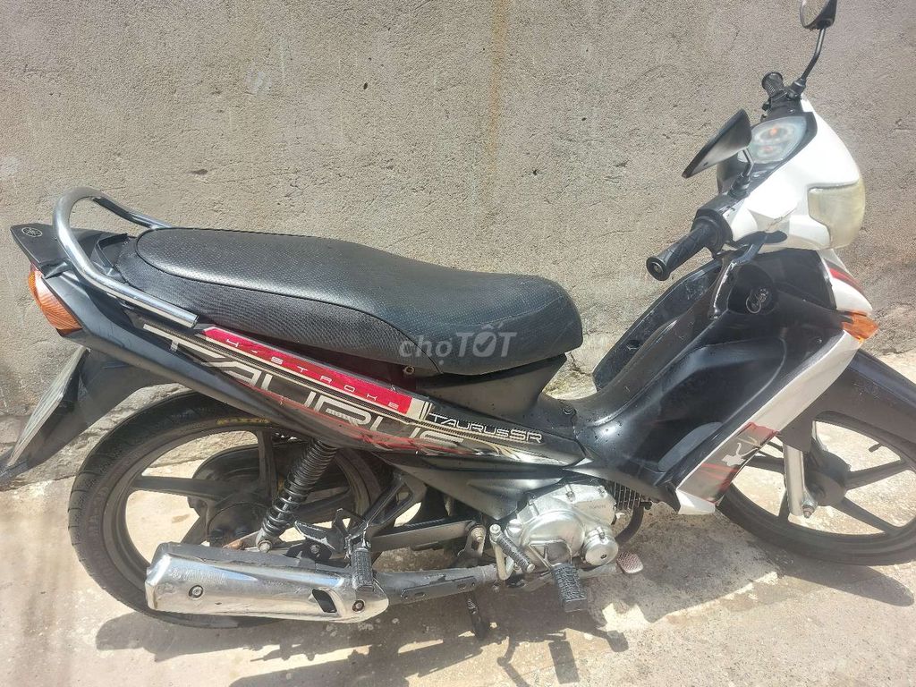 YAMAHA TAURUS 2009 - ảnh 2