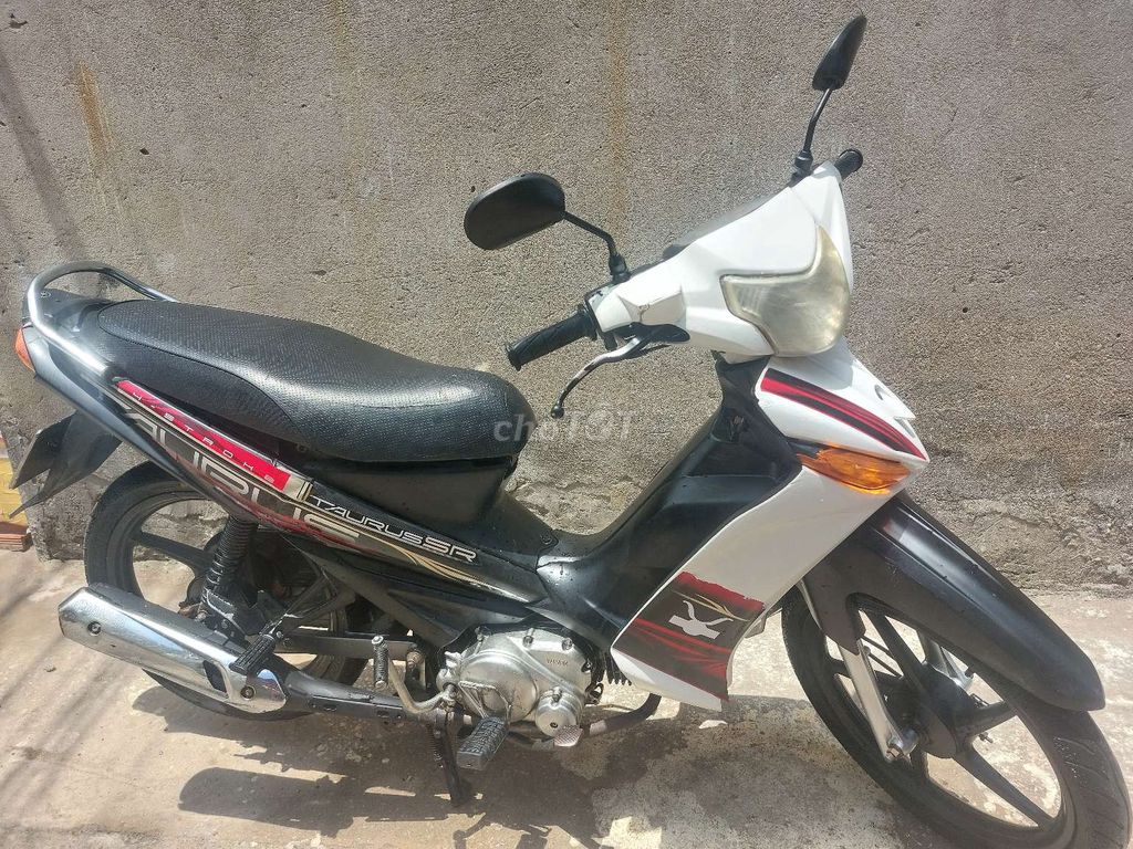 YAMAHA TAURUS 2009 - ảnh 3