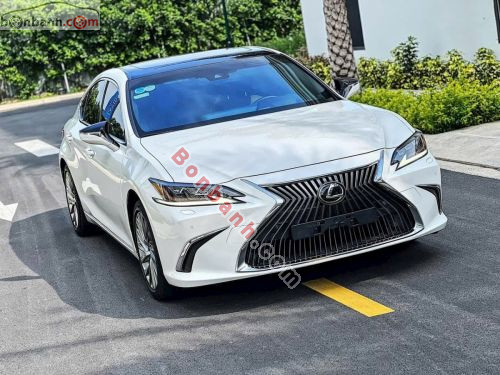 Lexus ES 250 2020 - ảnh 1