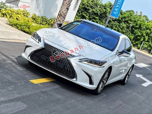 Lexus ES 250 2020 - ảnh 2