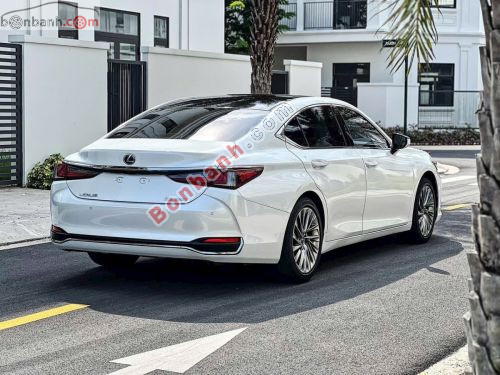 Lexus ES 250 2020 - ảnh 3