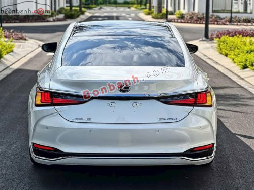 Lexus ES 250 2020 - ảnh 4