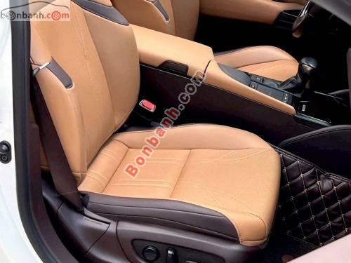 Lexus ES 250 2020 - ảnh 5