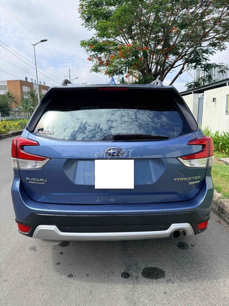 Subaru Forester 2020 - ảnh 5