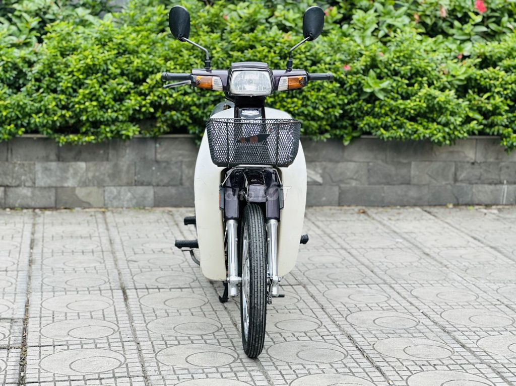 Honda Dream 2010 - ảnh 2