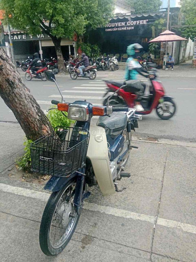 Honda Cup 1992 - ảnh 3