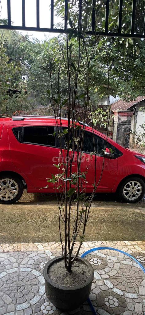 Chevrolet Spark 2017 - ảnh 2