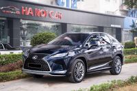 Lexus RX 300 2020 - ảnh 1