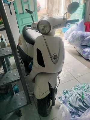 Xe m 2008 - ảnh 1