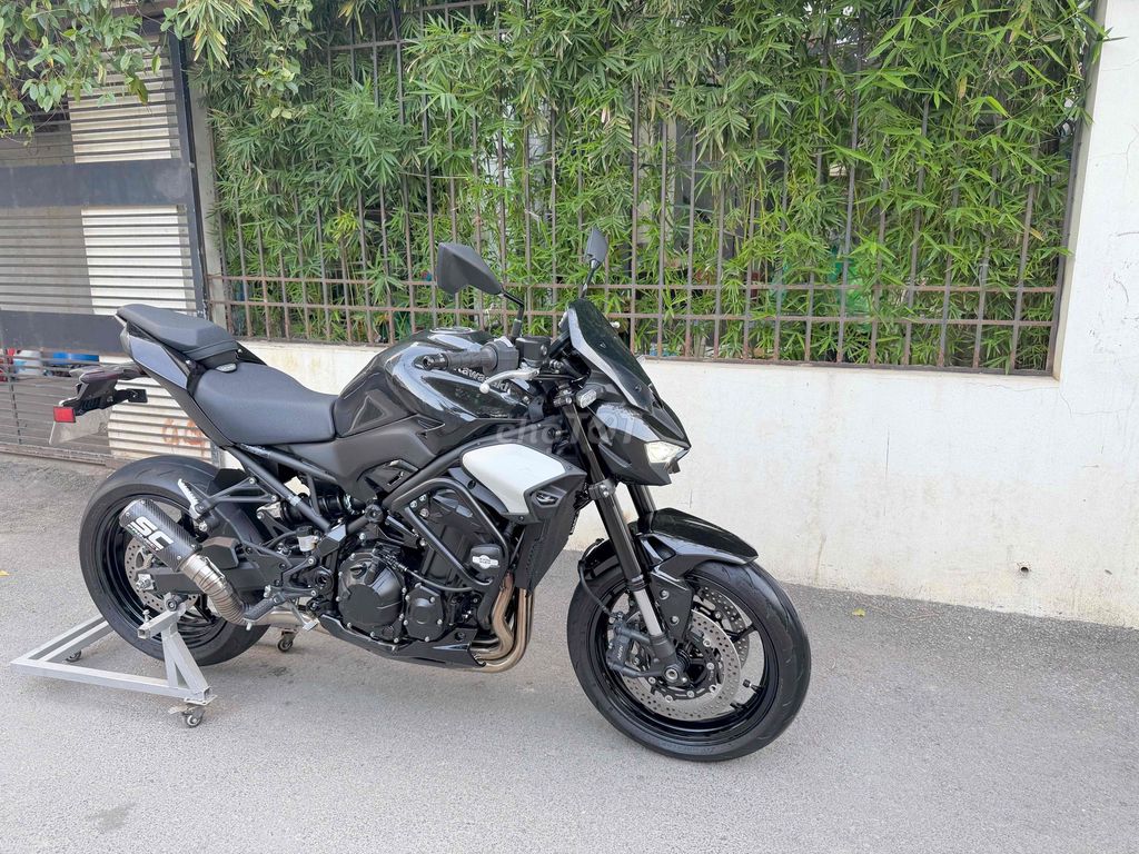 Z 2025 - ảnh 2