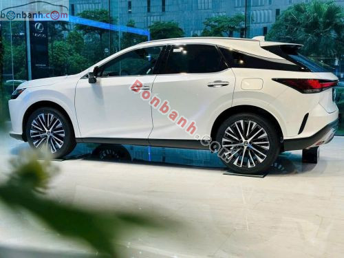 Lexus RX 350h Premium 2026 - ảnh 4