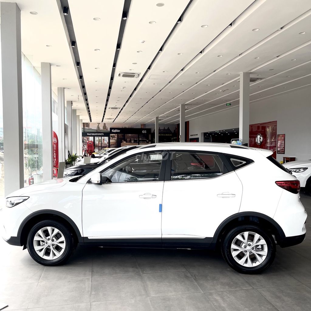 MG - ảnh 1