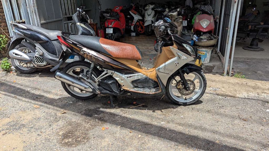 xe 2022 - ảnh 2
