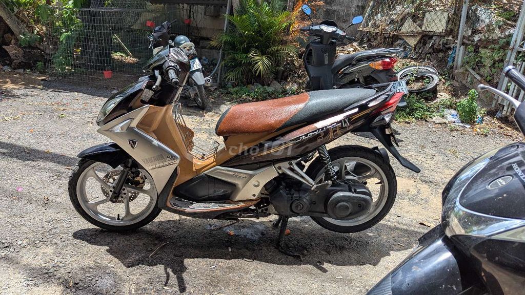 xe 2022 - ảnh 3