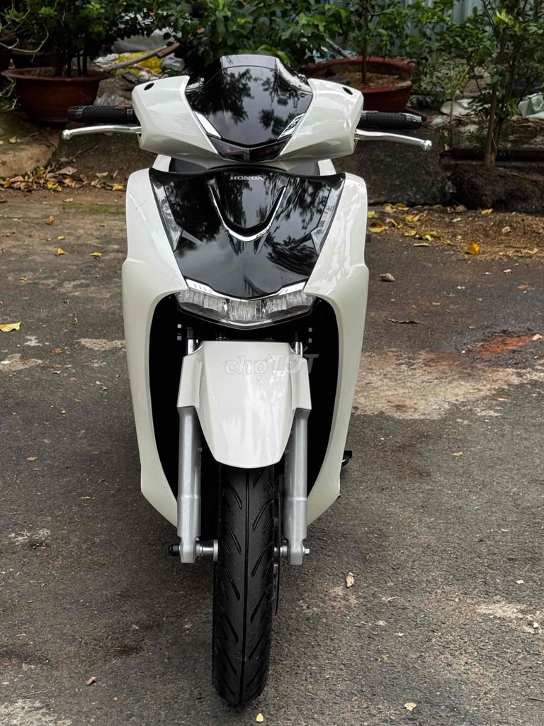 Honda SH 2026 - ảnh 3