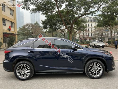 Lexus RX 300 2020 - ảnh 3