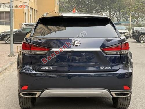 Lexus RX 300 2020 - ảnh 5