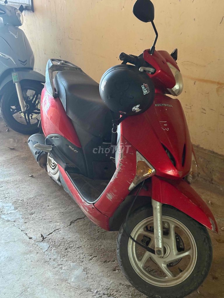 Honda Lead 2010 - ảnh 3