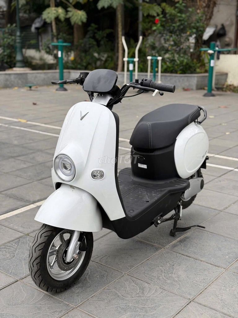 Xe m 2025 - ảnh 3