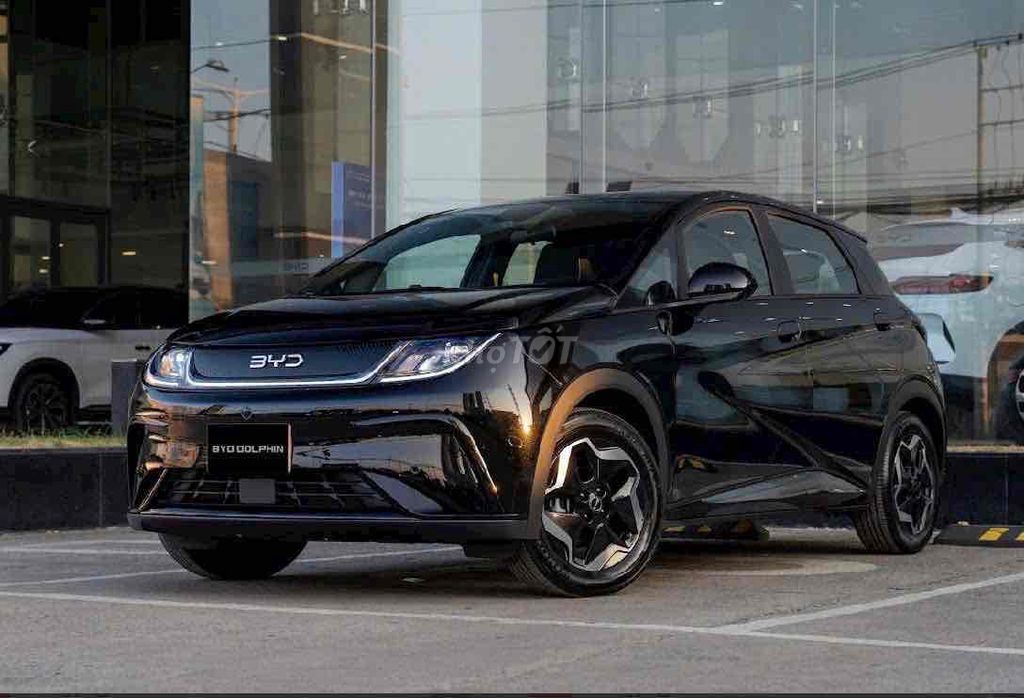 BYD Dolphin - ảnh 3