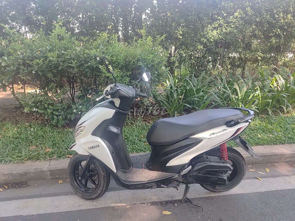 Yamaha FreeGo 2022 - ảnh 1