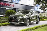 Lexus RX 300 2022 - ảnh 1