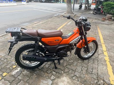 Yamaha PG 2025 - ảnh 1