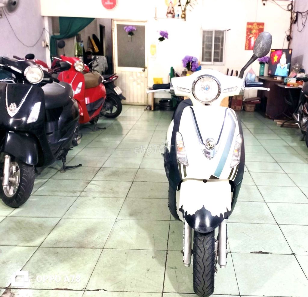 Honda 1986 - ảnh 1