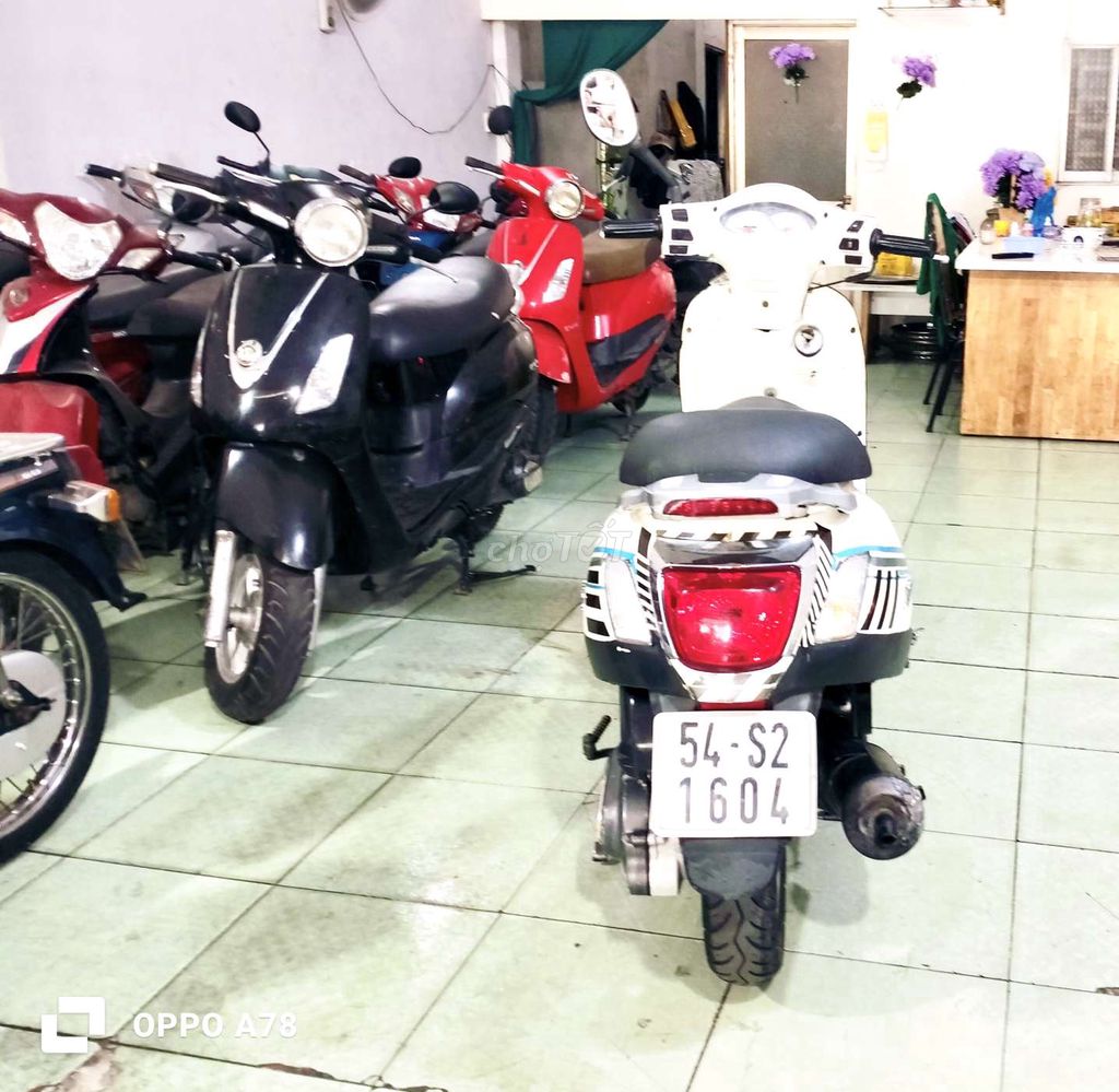 Honda 1986 - ảnh 4