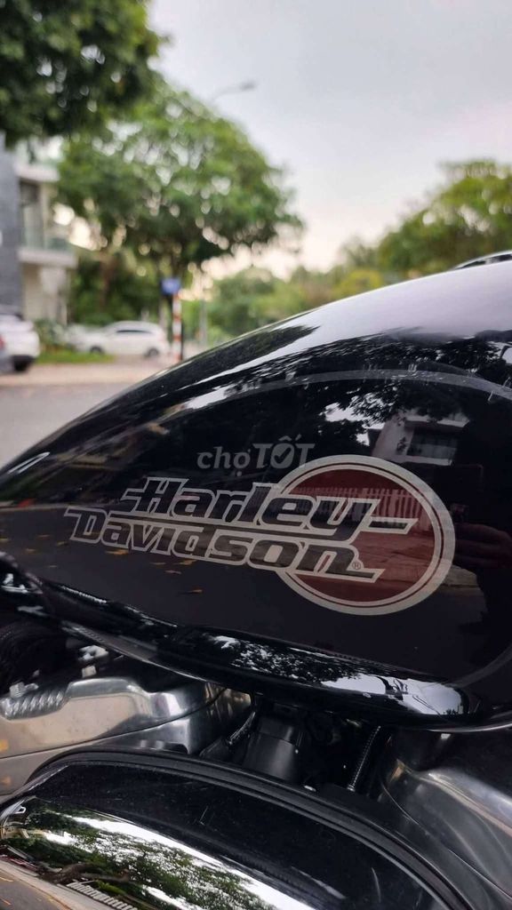 Harley 2020 - ảnh 5