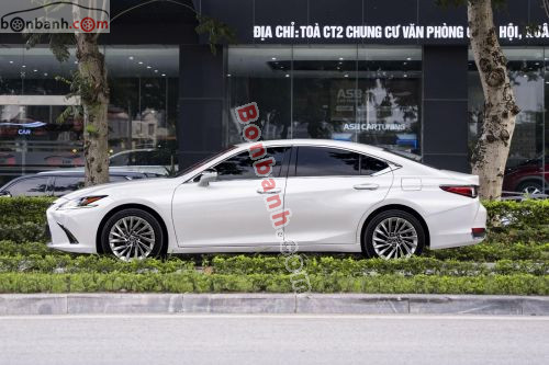 Lexus ES 250 2023 - ảnh 3