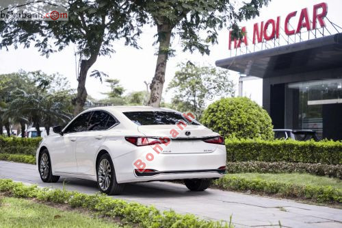 Lexus ES 250 2023 - ảnh 4
