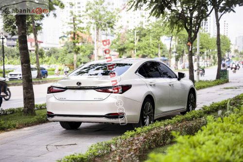 Lexus ES 250 2023 - ảnh 5