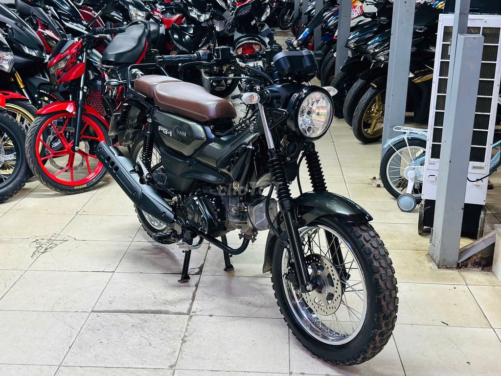 XE M 2024 - ảnh 1