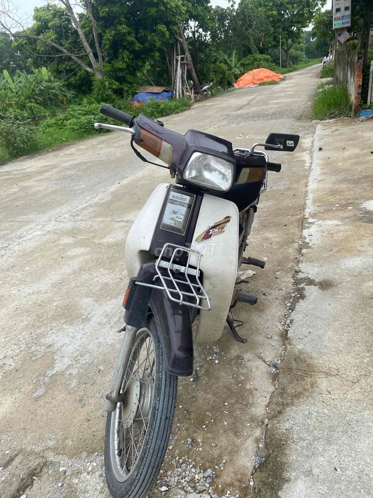 Dream N 2002 - ảnh 3