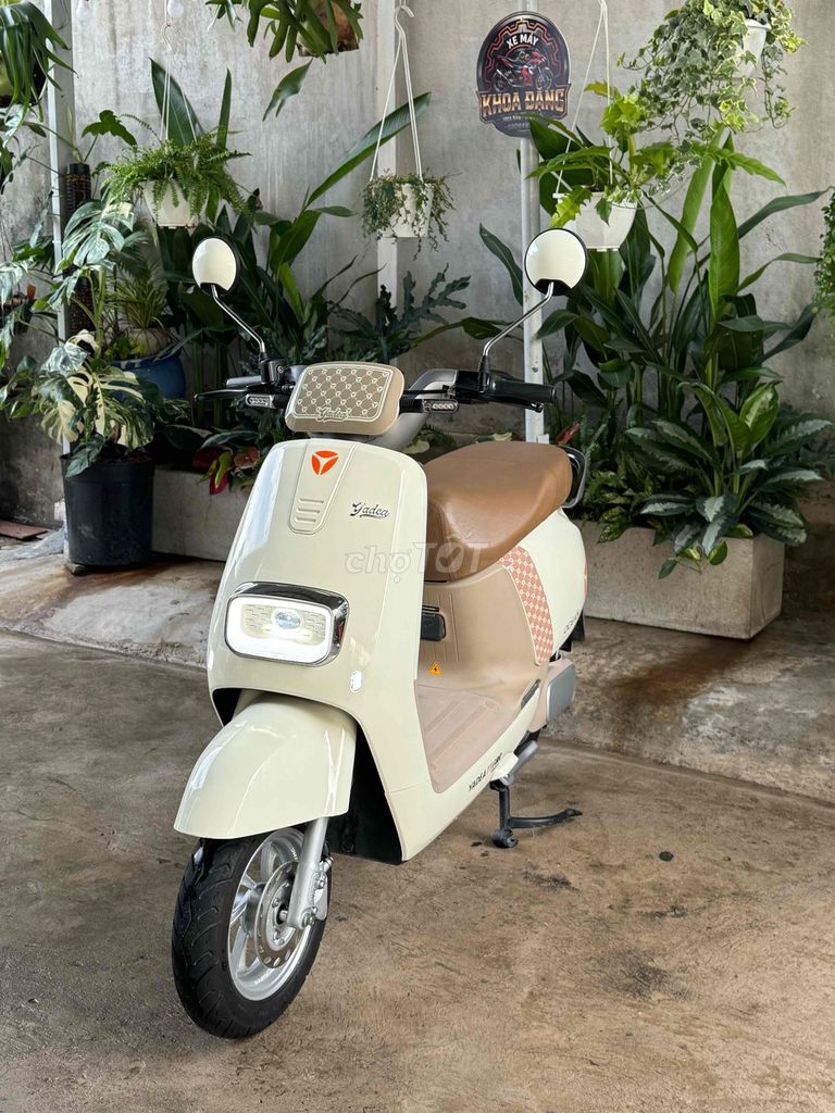 Xe m 2024 - ảnh 1