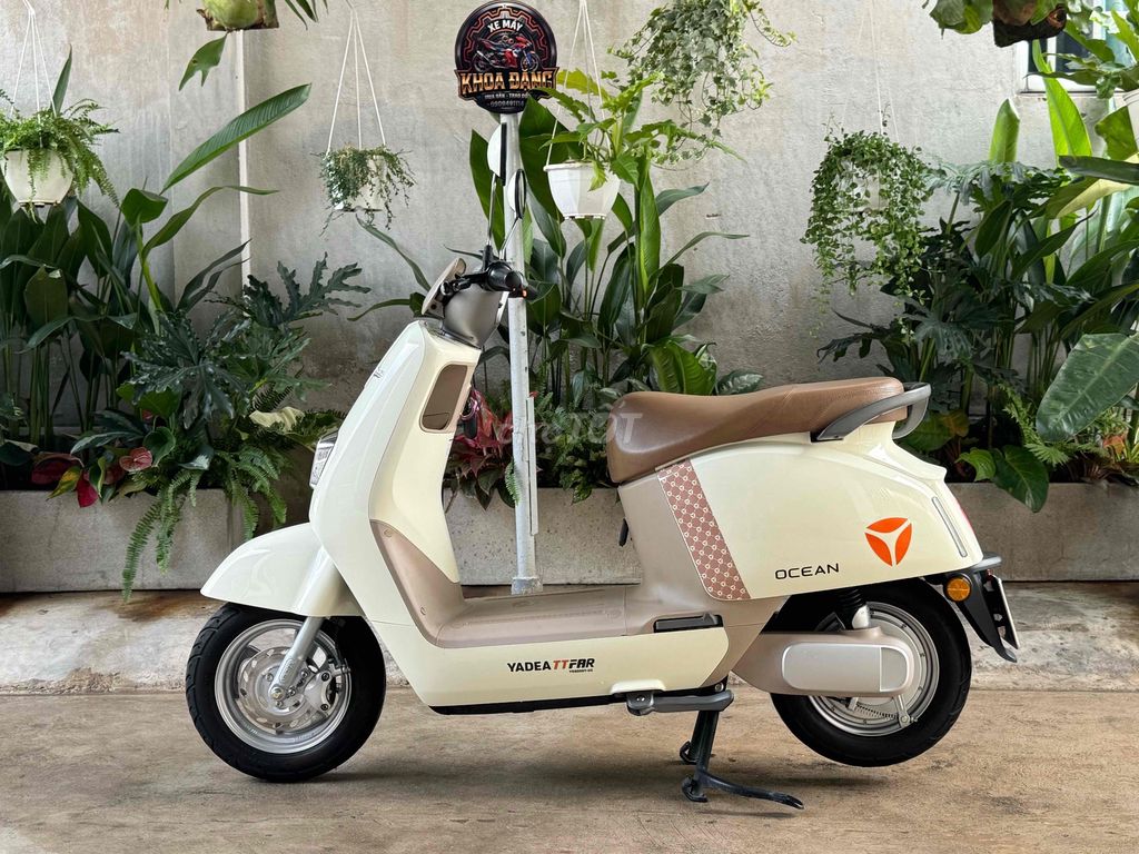 Xe m 2024 - ảnh 2