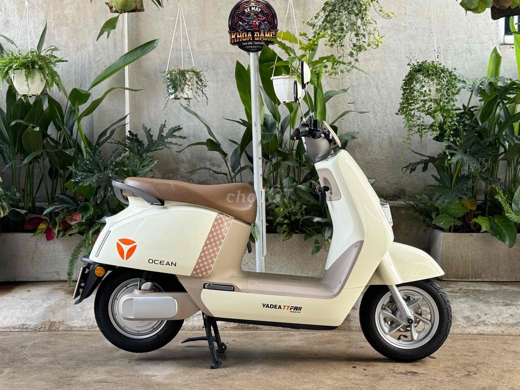 Xe m 2024 - ảnh 3