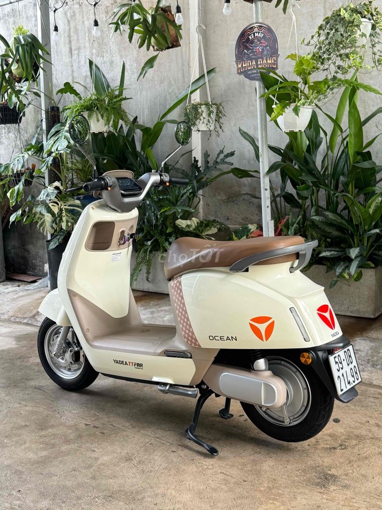 Xe m 2024 - ảnh 4