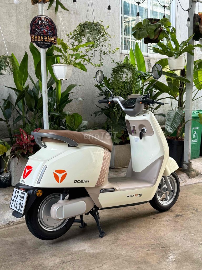 Xe m 2024 - ảnh 5