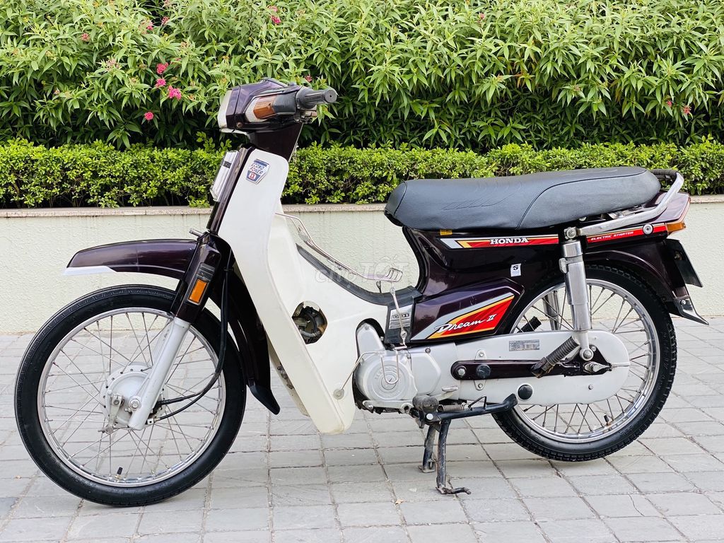 Honda Dream 2003 - ảnh 3
