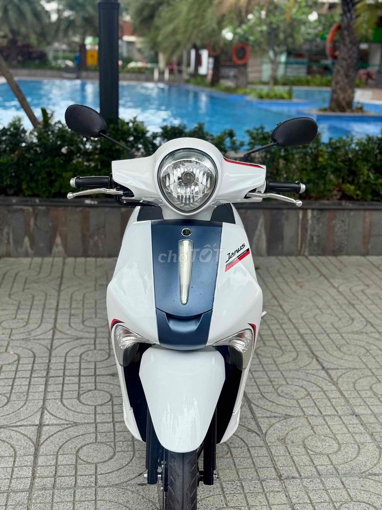 Janus 2019 - ảnh 1