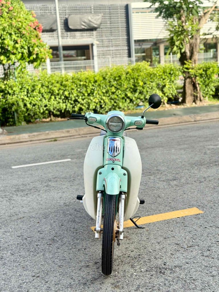 Cub 2022 - ảnh 2