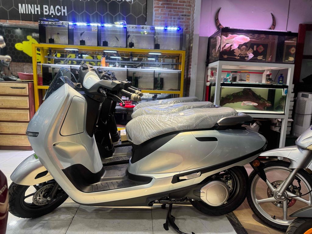 Xe m 2026 - ảnh 2