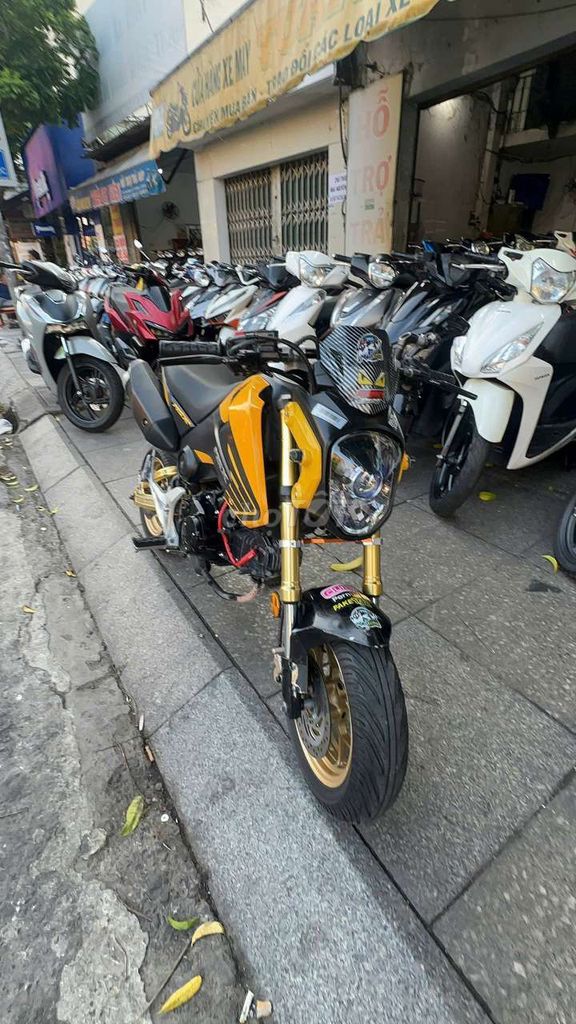Honda MSX 2016 - ảnh 1