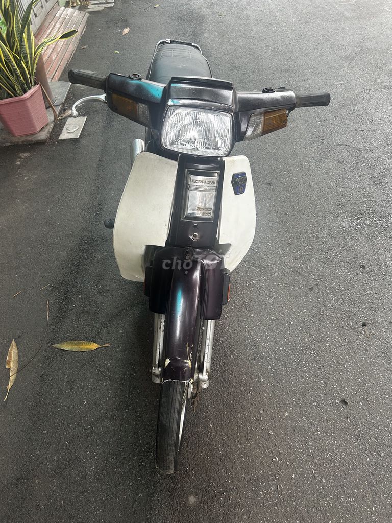 Honda Dream 1998 - ảnh 3