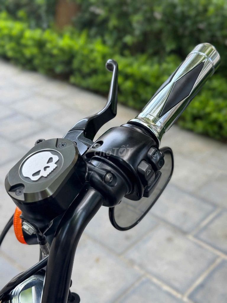 Harley-Davidson 2019 - ảnh 5