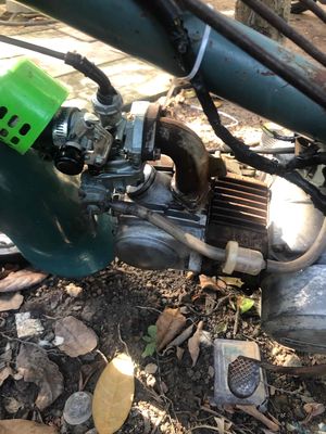 Honda Cub 1981 - ảnh 1